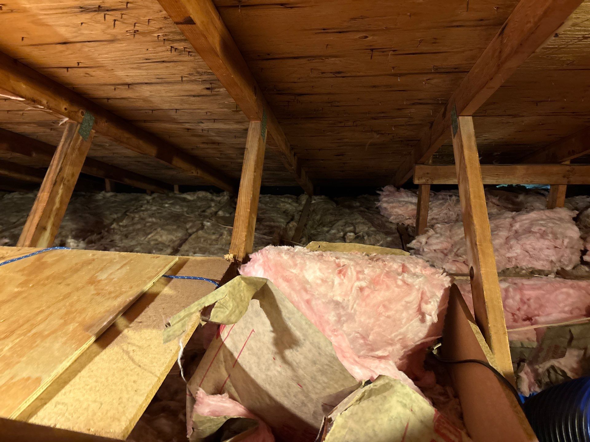 Eliminating Attic Mold and Ice Formation in Bethel Park, PA 15102 by Home Environment Solutions