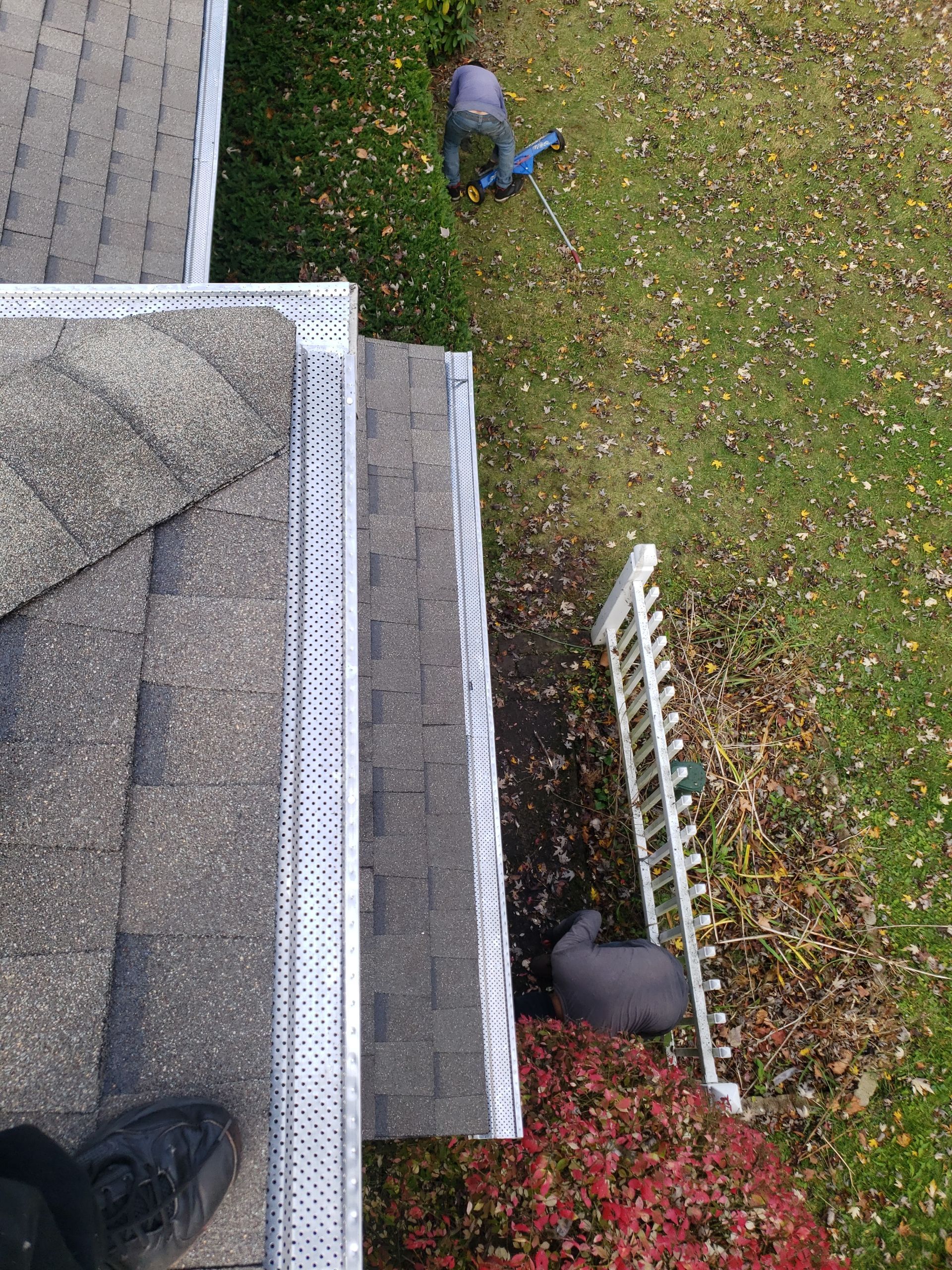 ATLAS PINNACLE COLOR: PRISTINE SCOTCHGARD WEATHERED DRIP EDGE: MUSKET BROWN by Eagle Eye Roofing