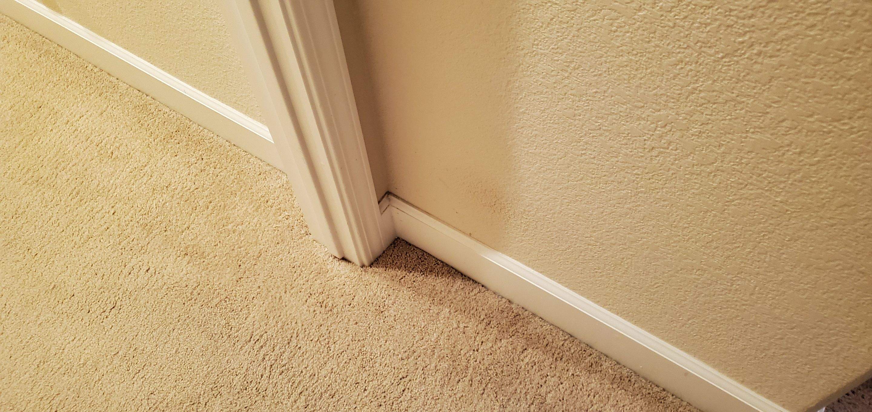 Repair of Cat-scratched Carpet by Ardent Carpet Restore LLC