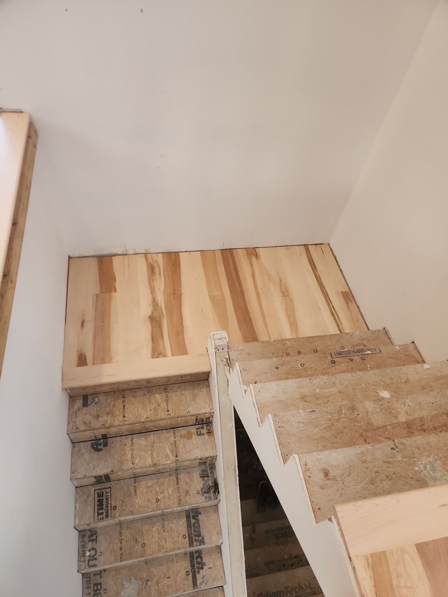 Full glue down Installation over radiant heat 7" Maple character grade by Ann Arbor Hardwoods 