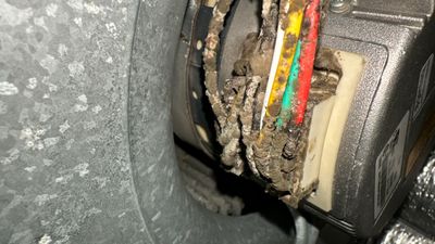 Air Duct Cleaning in Tavares