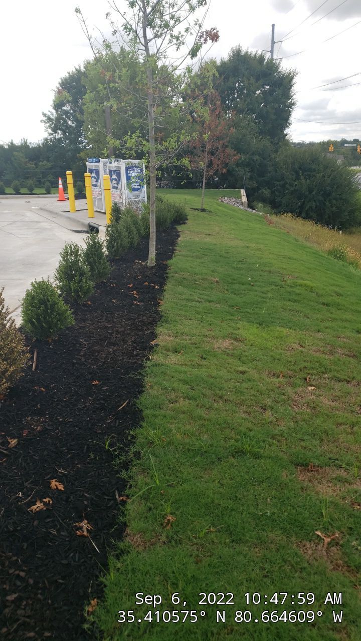 Commercial Landscaping Harris Teeter Fuel Station by Carolina-Metro Landscape, Inc