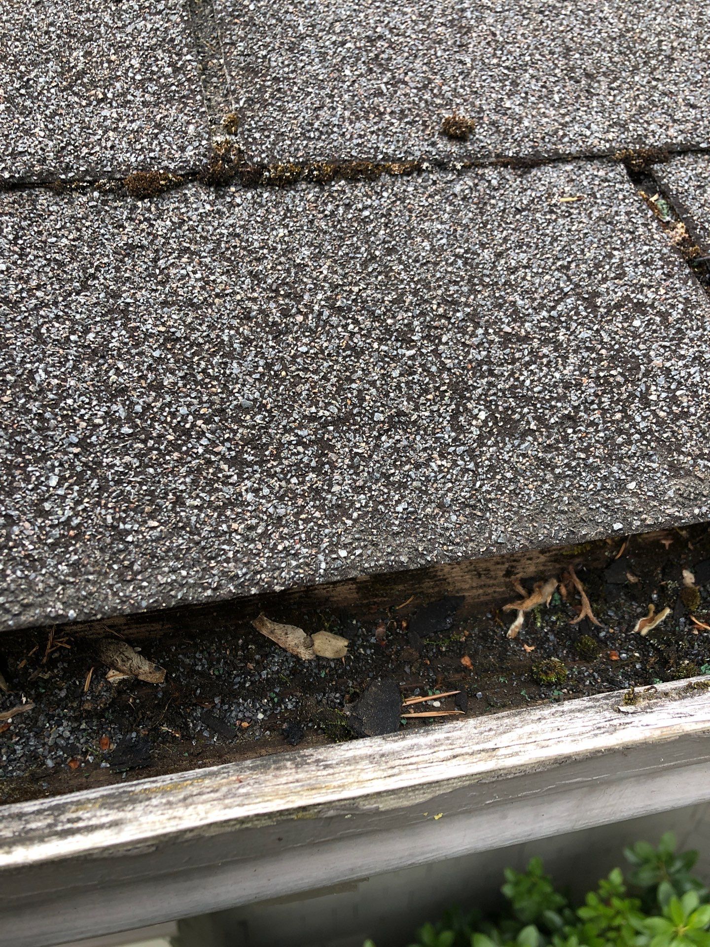 Project in Seattle by Connolly Construction Company