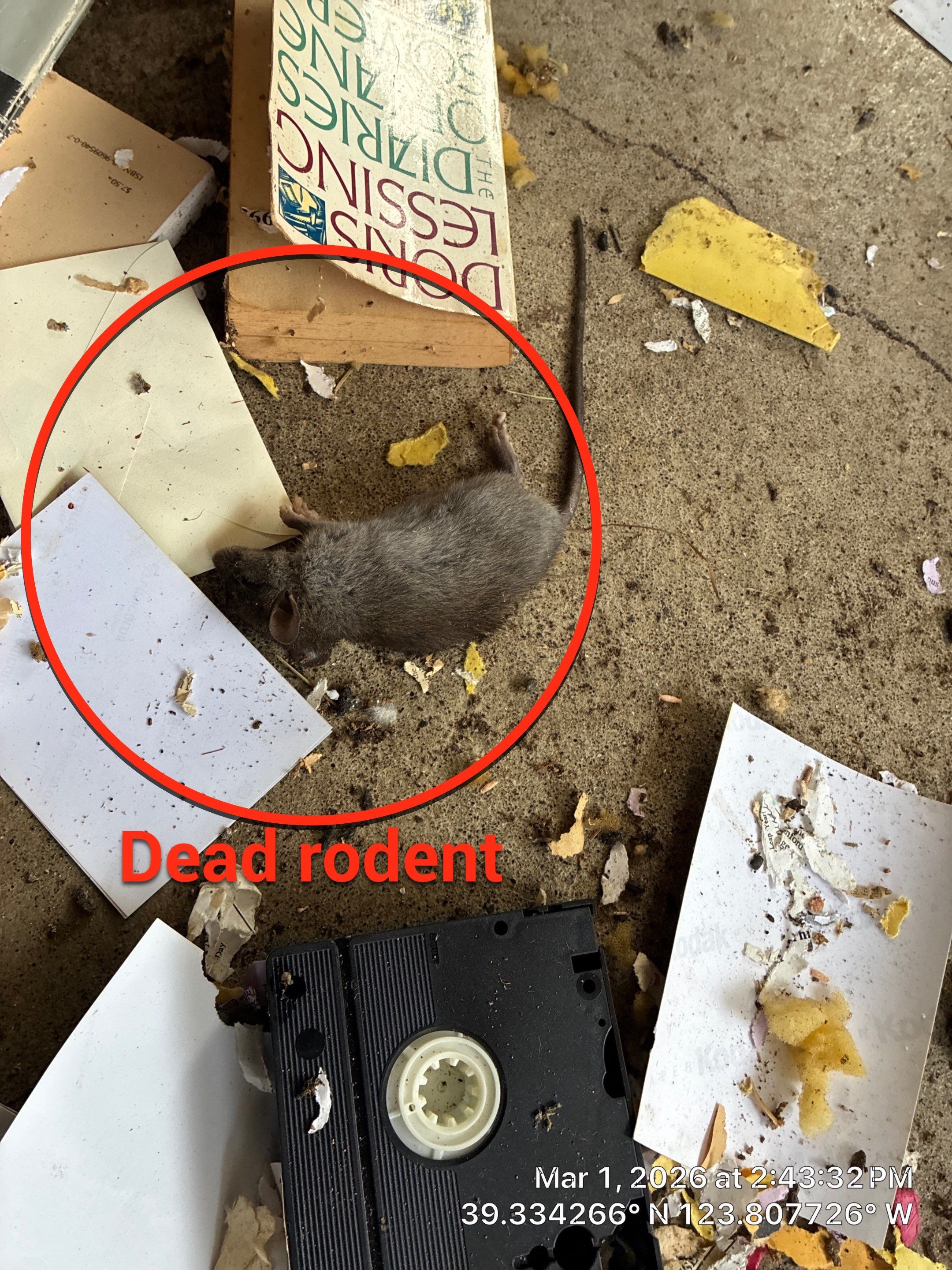 Project in Mendocino by 911 Hazmat Cleanup 