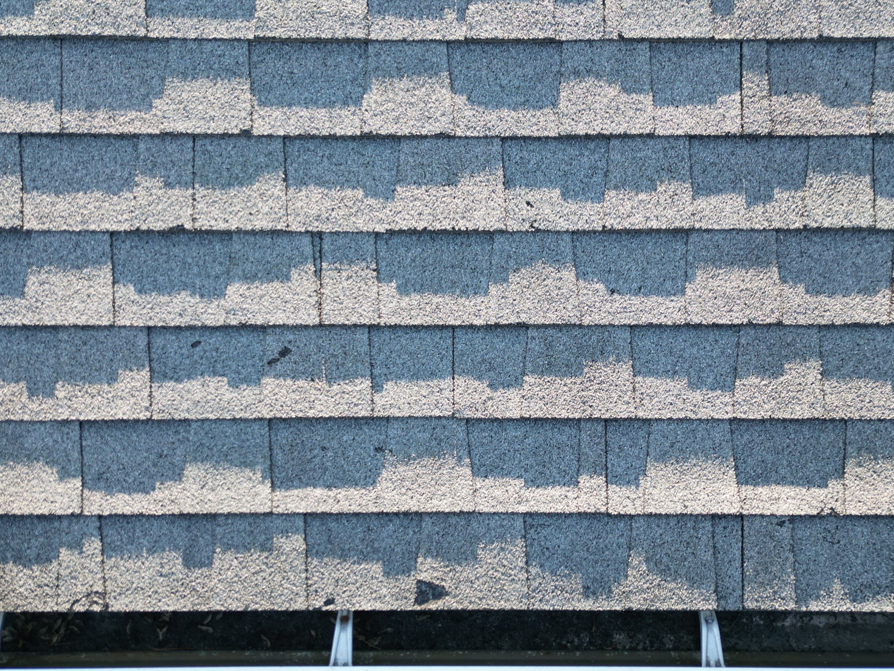Complete Roof Replacement with Chimney Flashing, Gutter Guard System, and Vinyl Siding Repairs by Mighty Dog Roofing of Greater Middlesex County