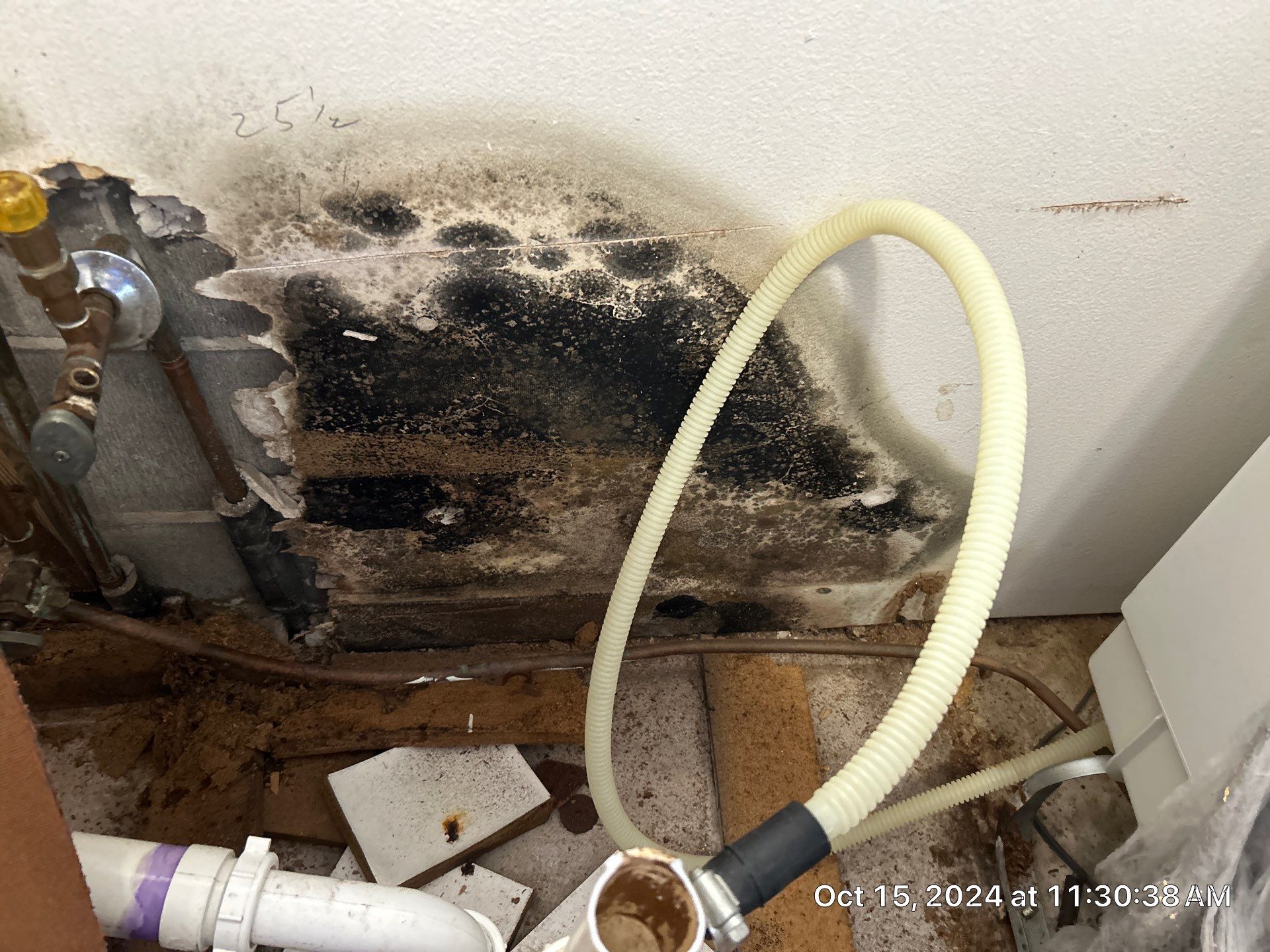 Mold Inspection by Ampm Restoration Services