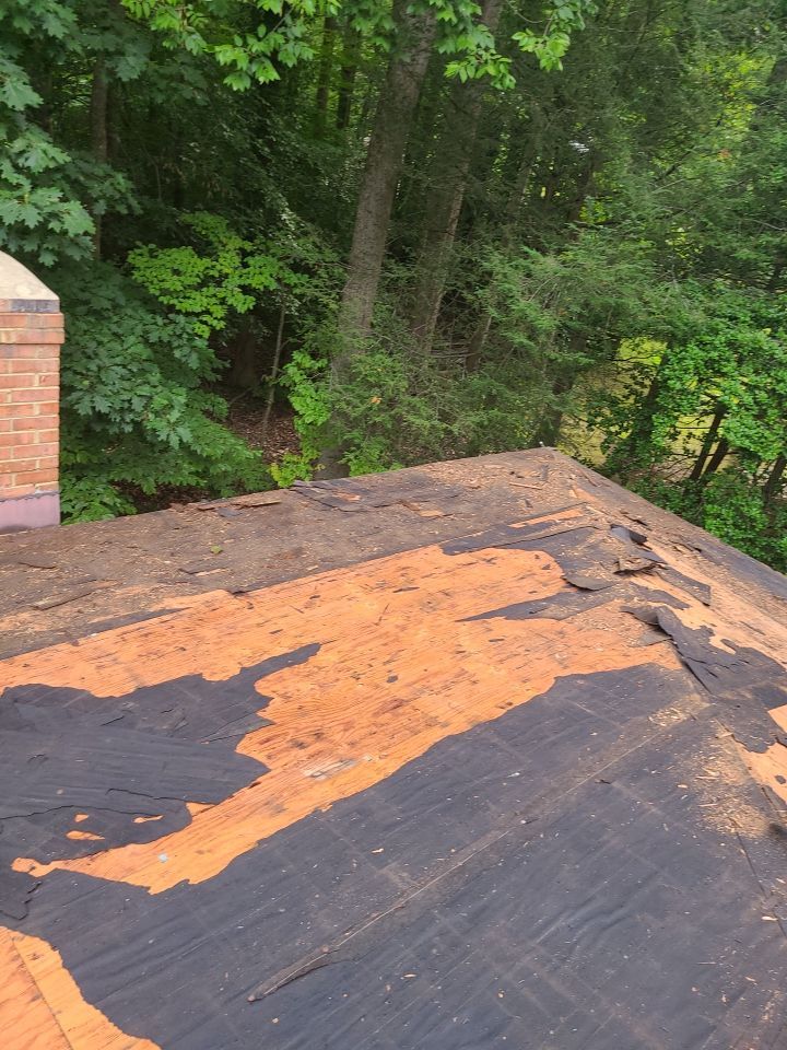 Fairfax Station: CertainTeed Landmark Pro Designer Shingles in Max Def Resawn Shake by RM Banning, Inc.