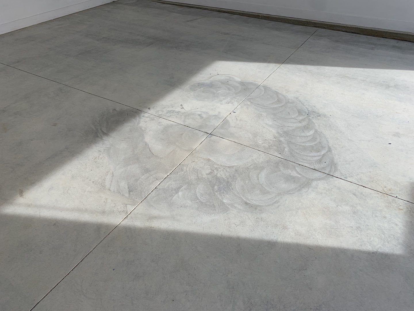 Garage using Domino  by Select Painting, Coatings & Garage Cabinets