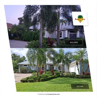 Premium Palm Tree Cleanup – Piper’s Landing Palm City