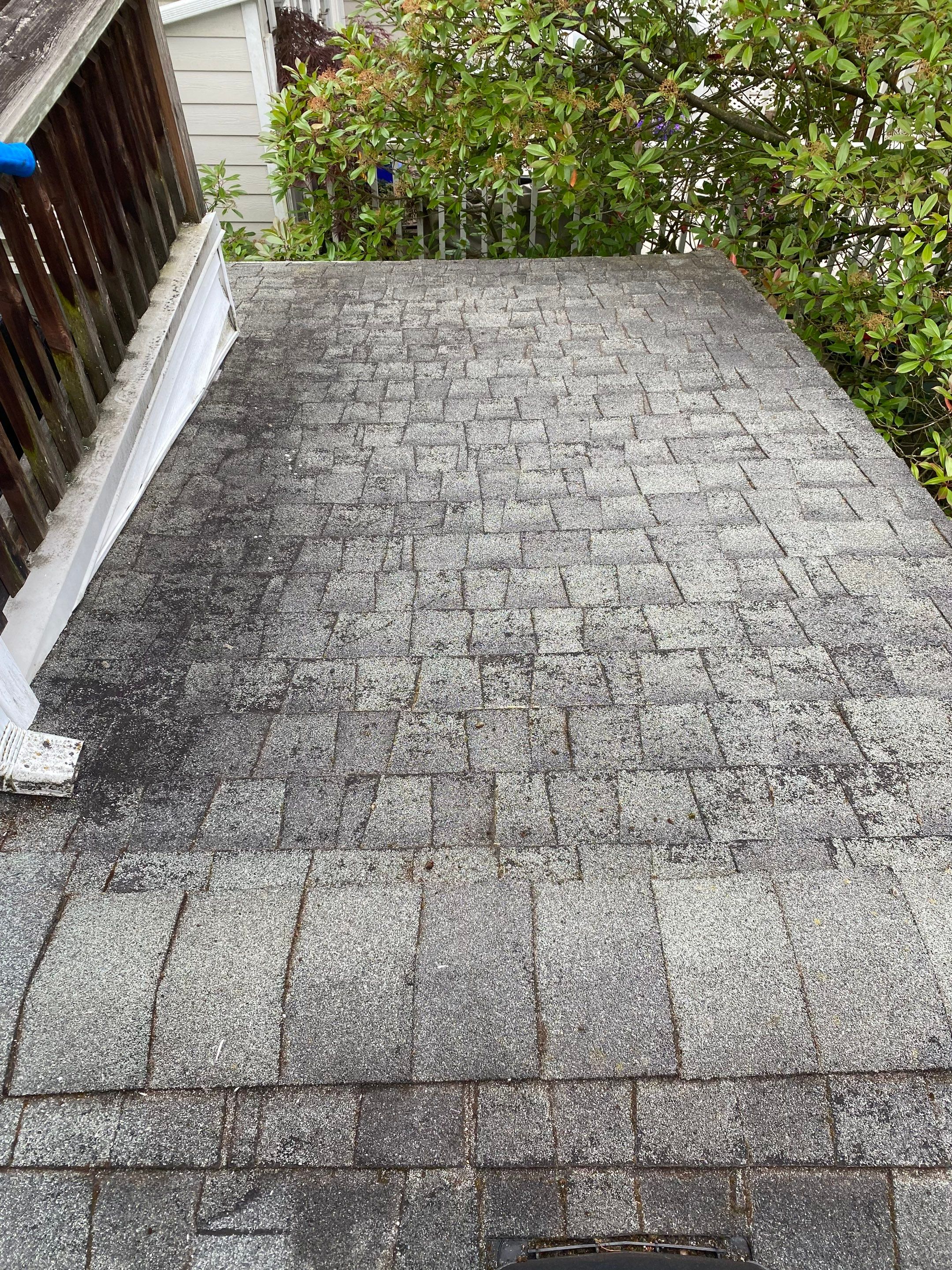Soft Wash Shingles & Siding - Gutter Cleaning - Fascia Painting  by YVR Construction Group