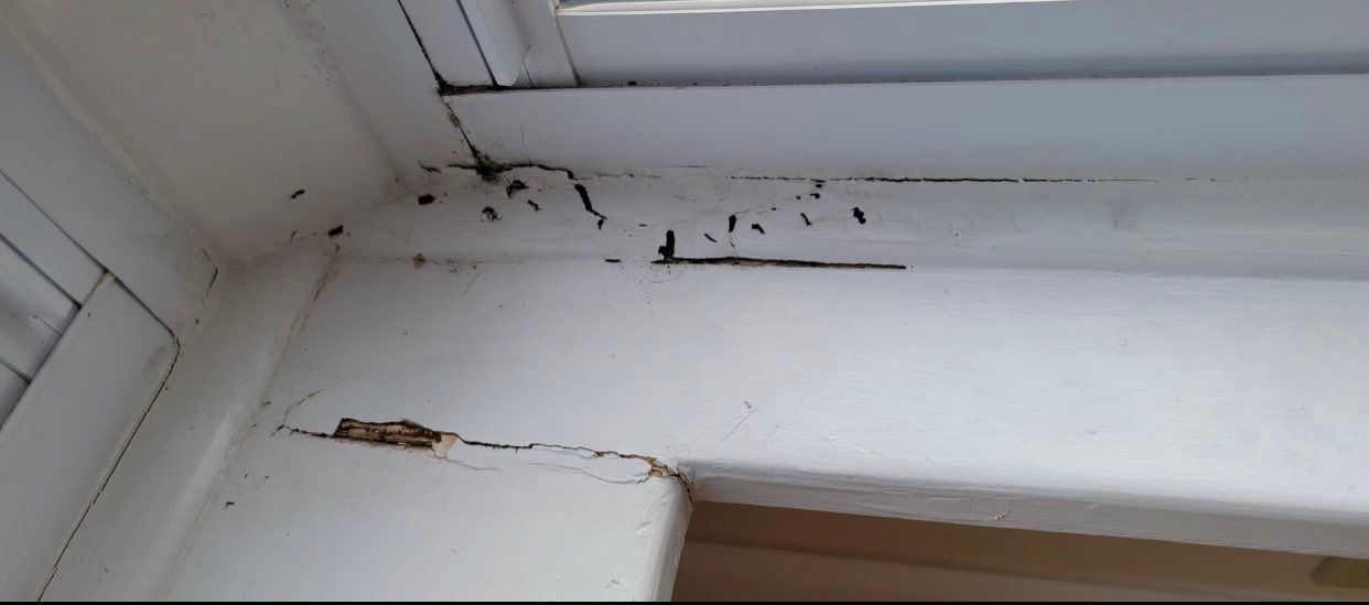 Residential Roofing Installation using Owens Corning TruDefinition & Certainteed Cedar Impressions Pacific Blue by A Plus Exterior