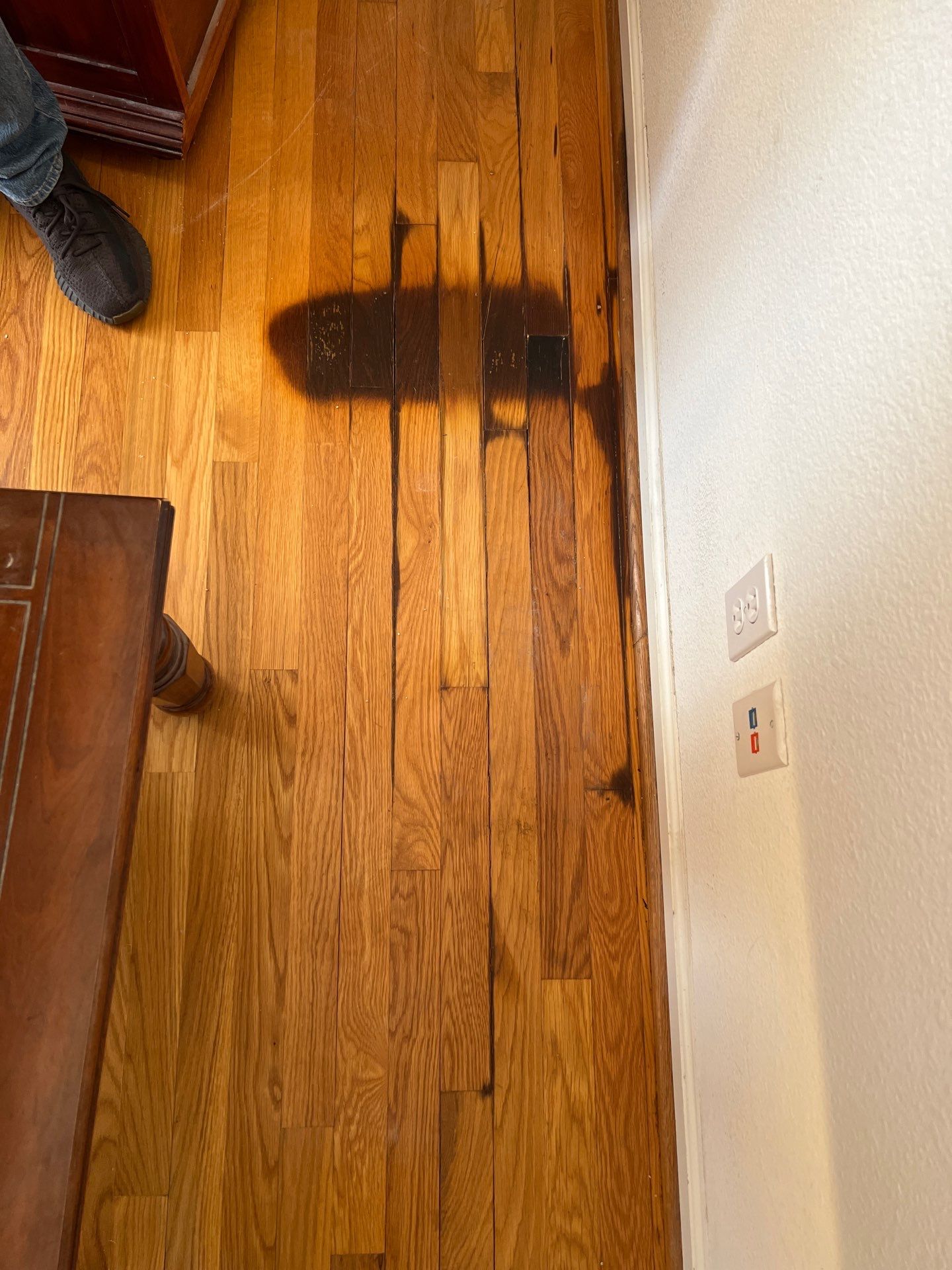 Project Showcase  by Elephant Floors Inc