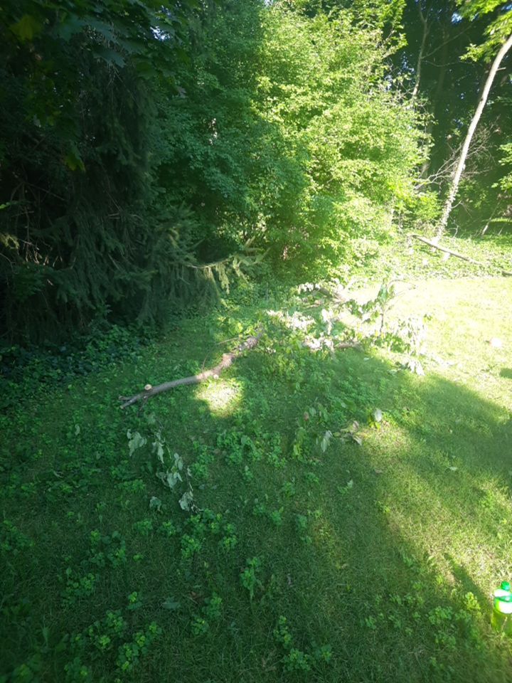 Tree Removal using Tree Removal by Mike Jones & Sons Tree Service LLC 