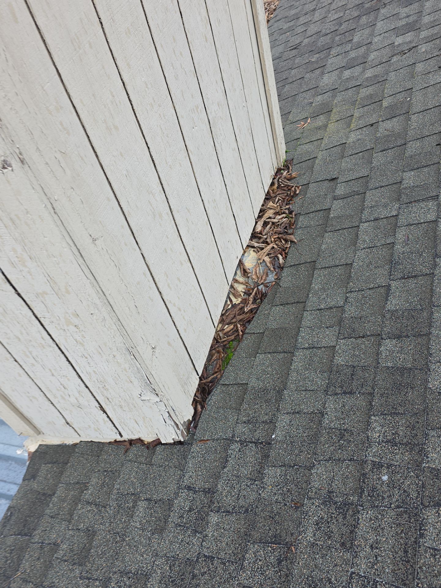 Roof Rejuvenation using Roof Maxx Treatment by Roof Maxx of Folsom