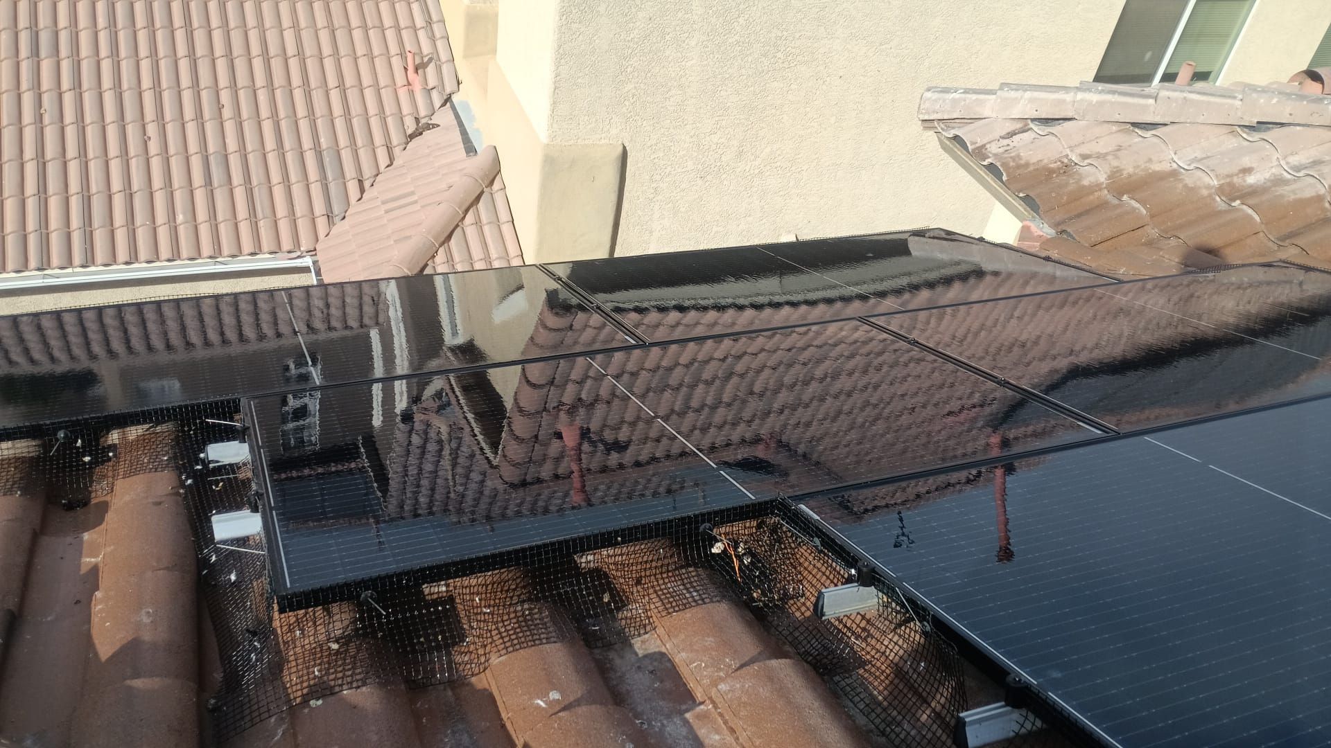 Excessive pigeon problem  by Solar Honest Cleaning 