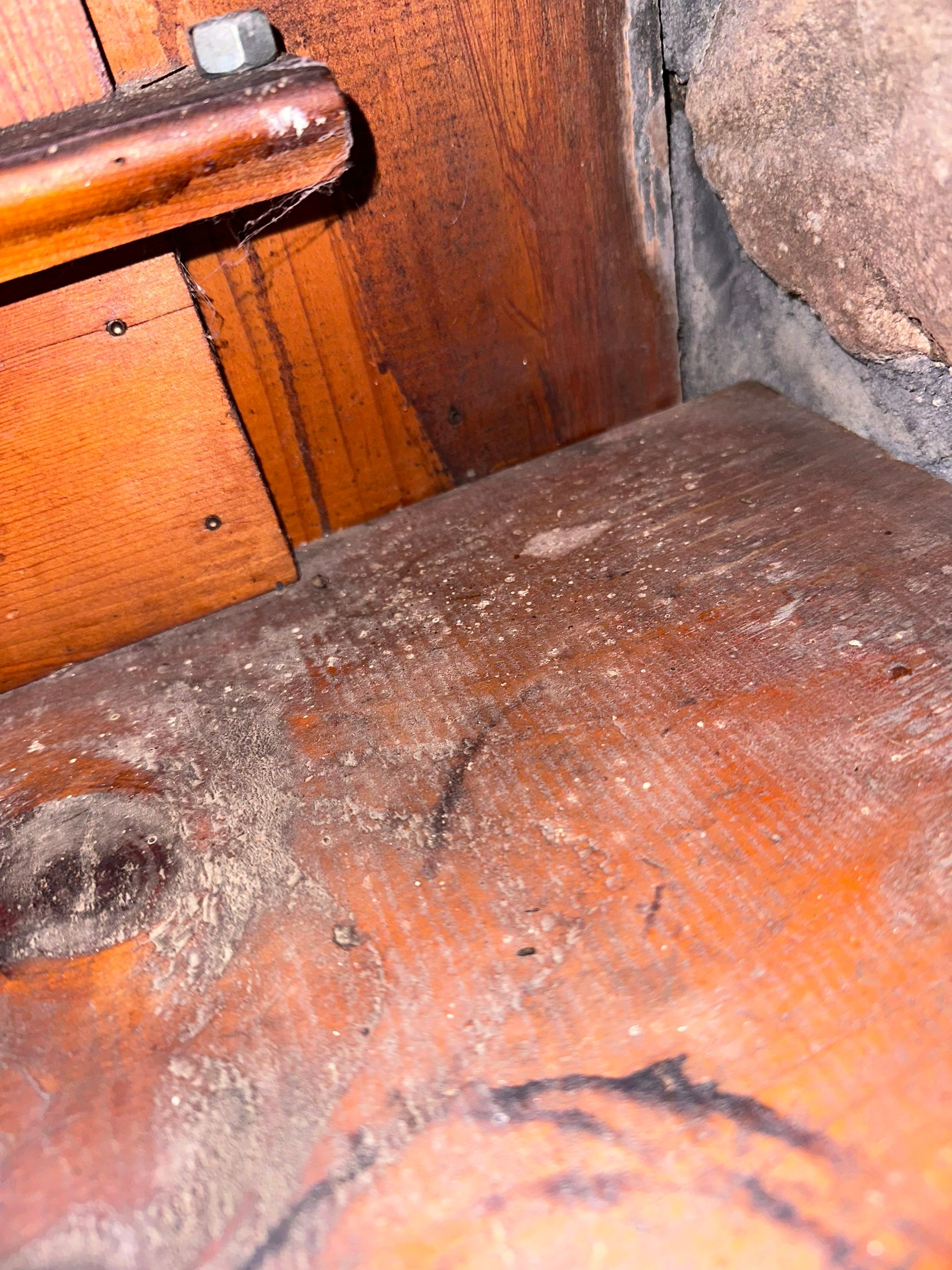 Entire Home Remediation by Home Guarantee, LLC