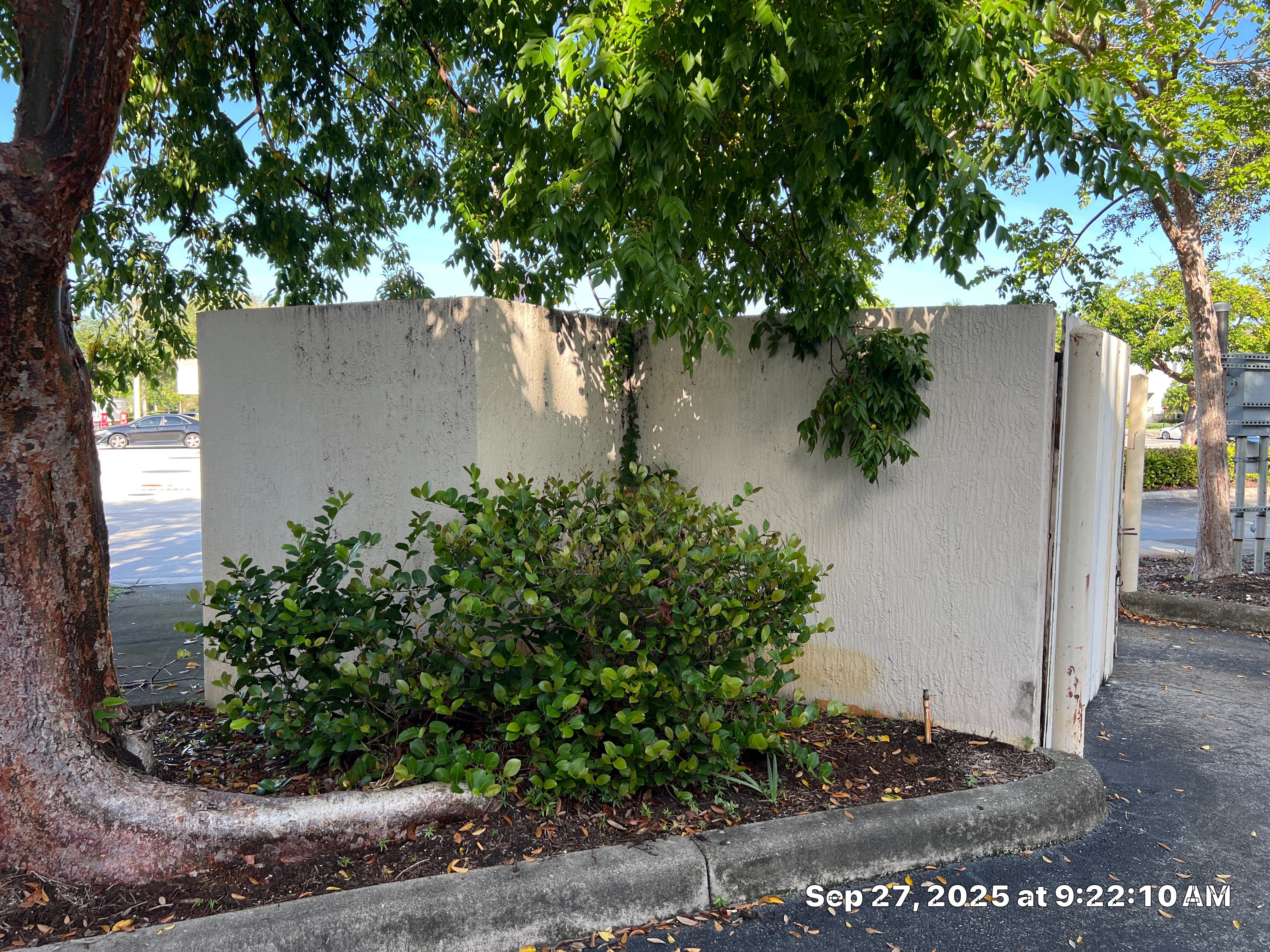 Pressure Washing Commercial Parkland by BKB Pressure Cleaning LLC