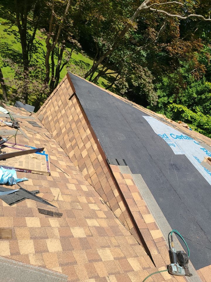 Fairfax Station: CertainTeed Landmark Pro Designer Shingles in Max Def Resawn Shake by RM Banning, Inc.