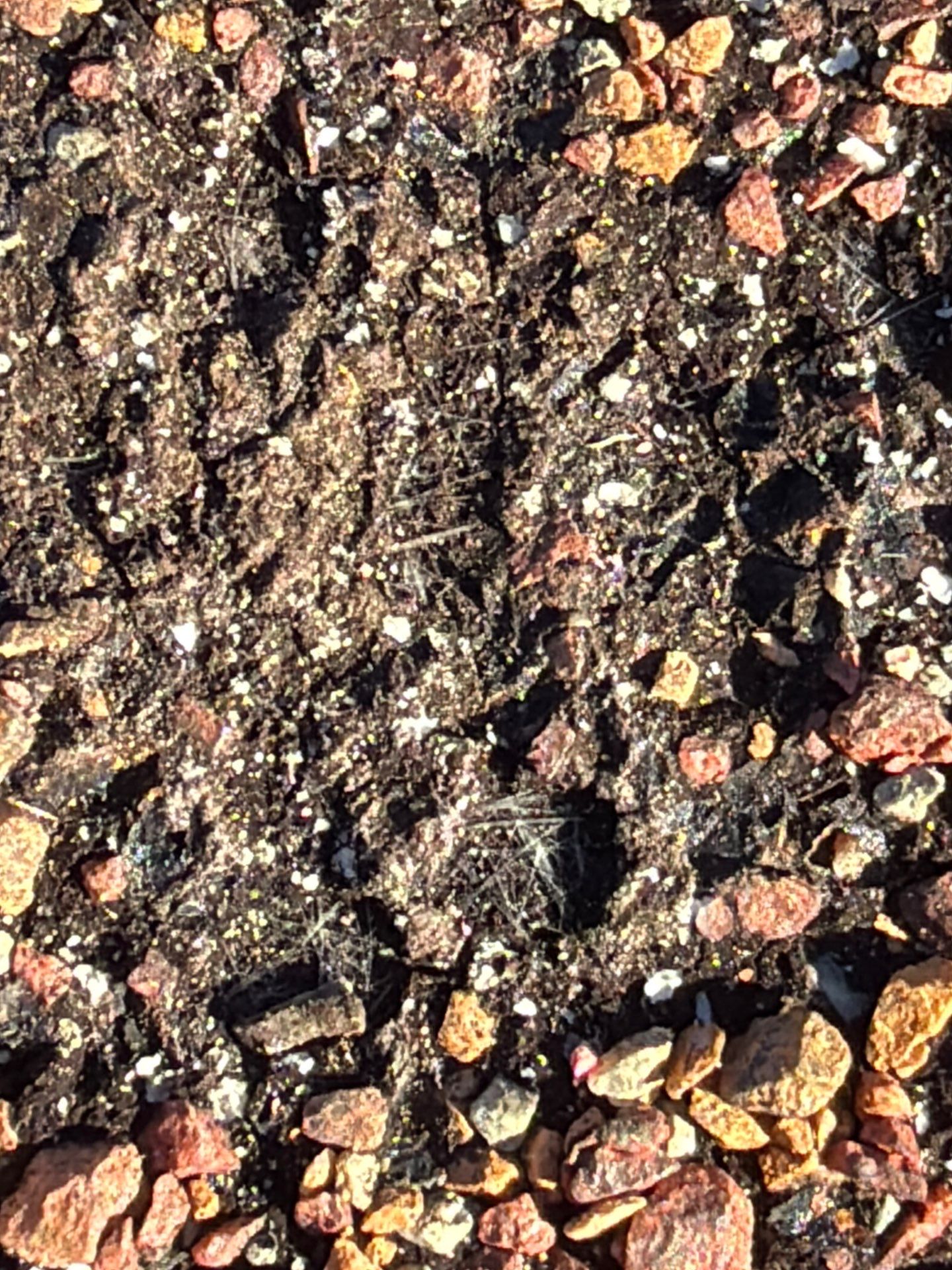 Insurance Full Roof Replacement by Recon Roofing