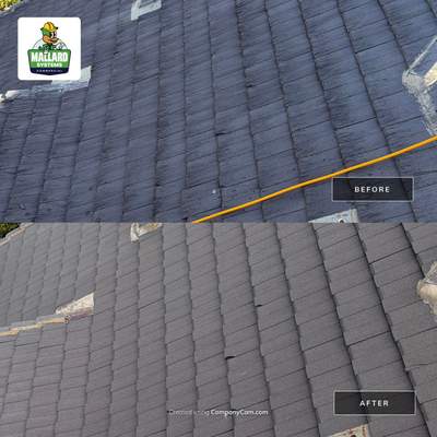 Roof, Exterior, Driveway, Walkways, & Sidewalk Cleaning