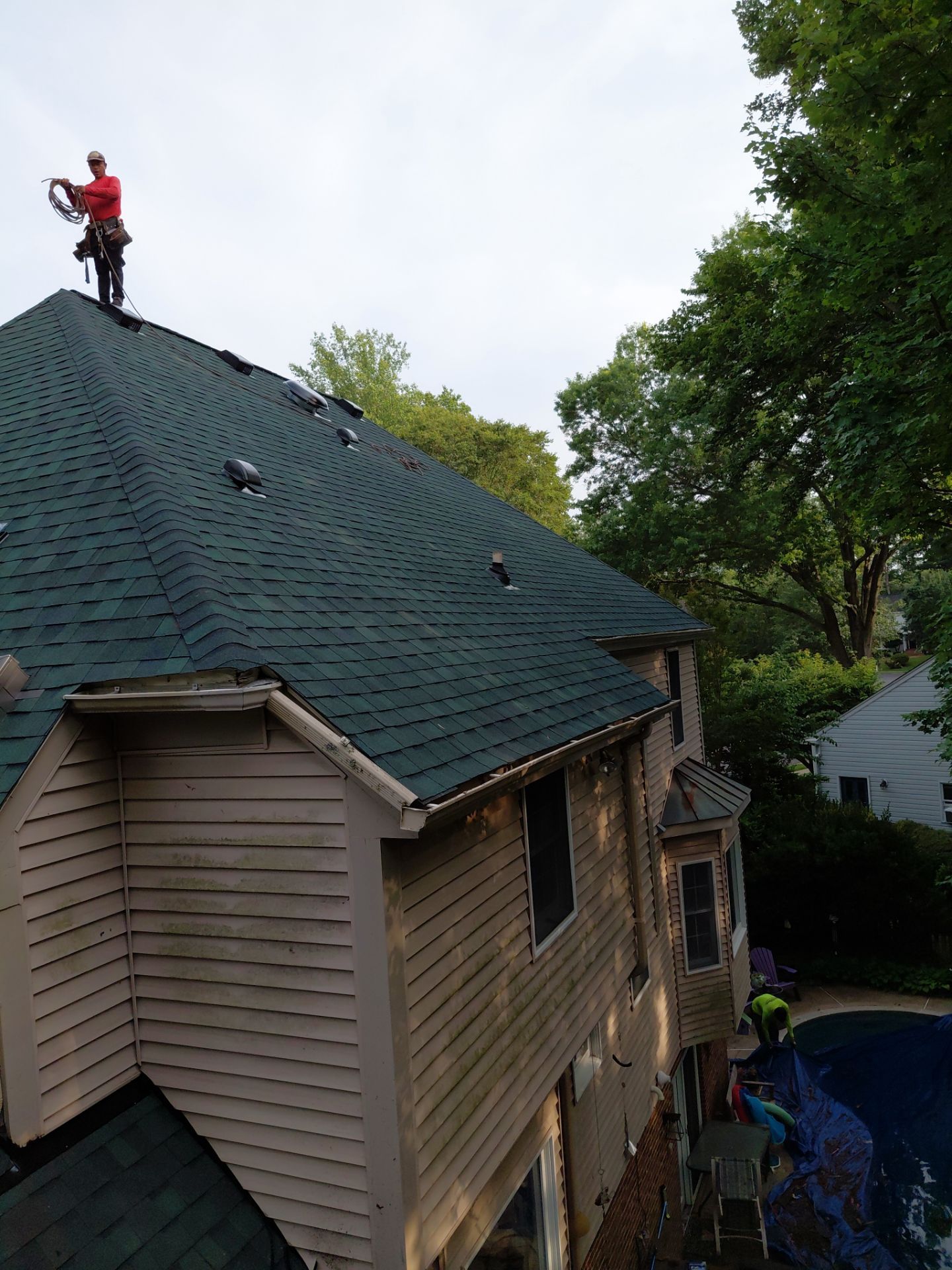 Springfield: Roof Replacement with CertainTeed Landmark Pro in Max Def Evergreen by RM Banning, Inc.