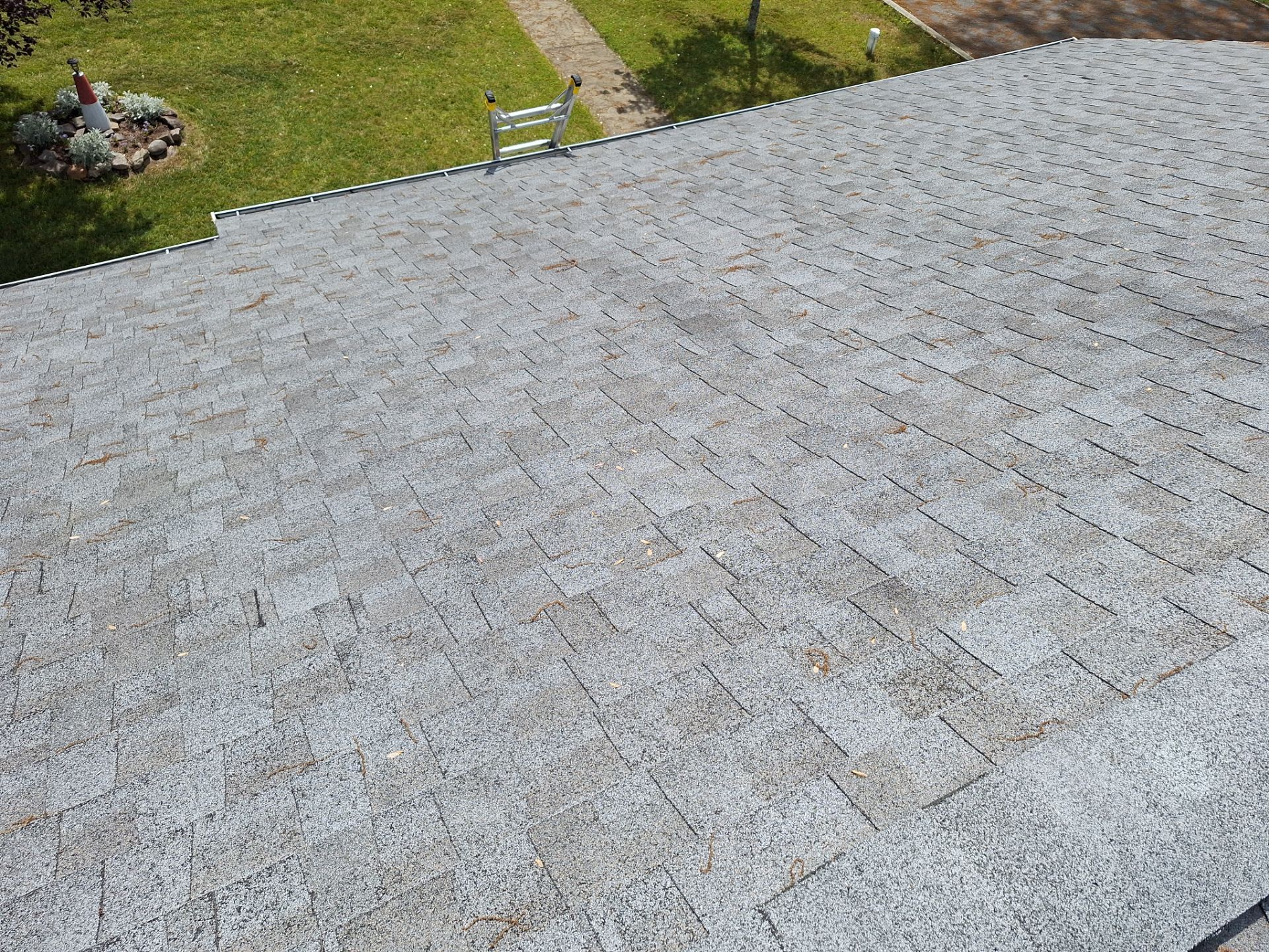 Silver Birch Shingles by Reimagine Roofing