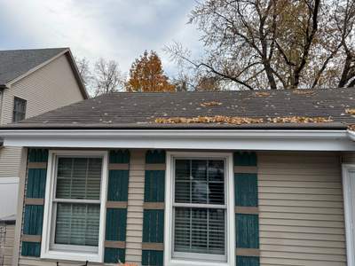 Turtle Shell gutter protection installation in Lombard, IL 60148, photograph 14