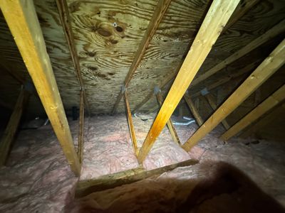 Attic Mold Remediation using Home Guarantee