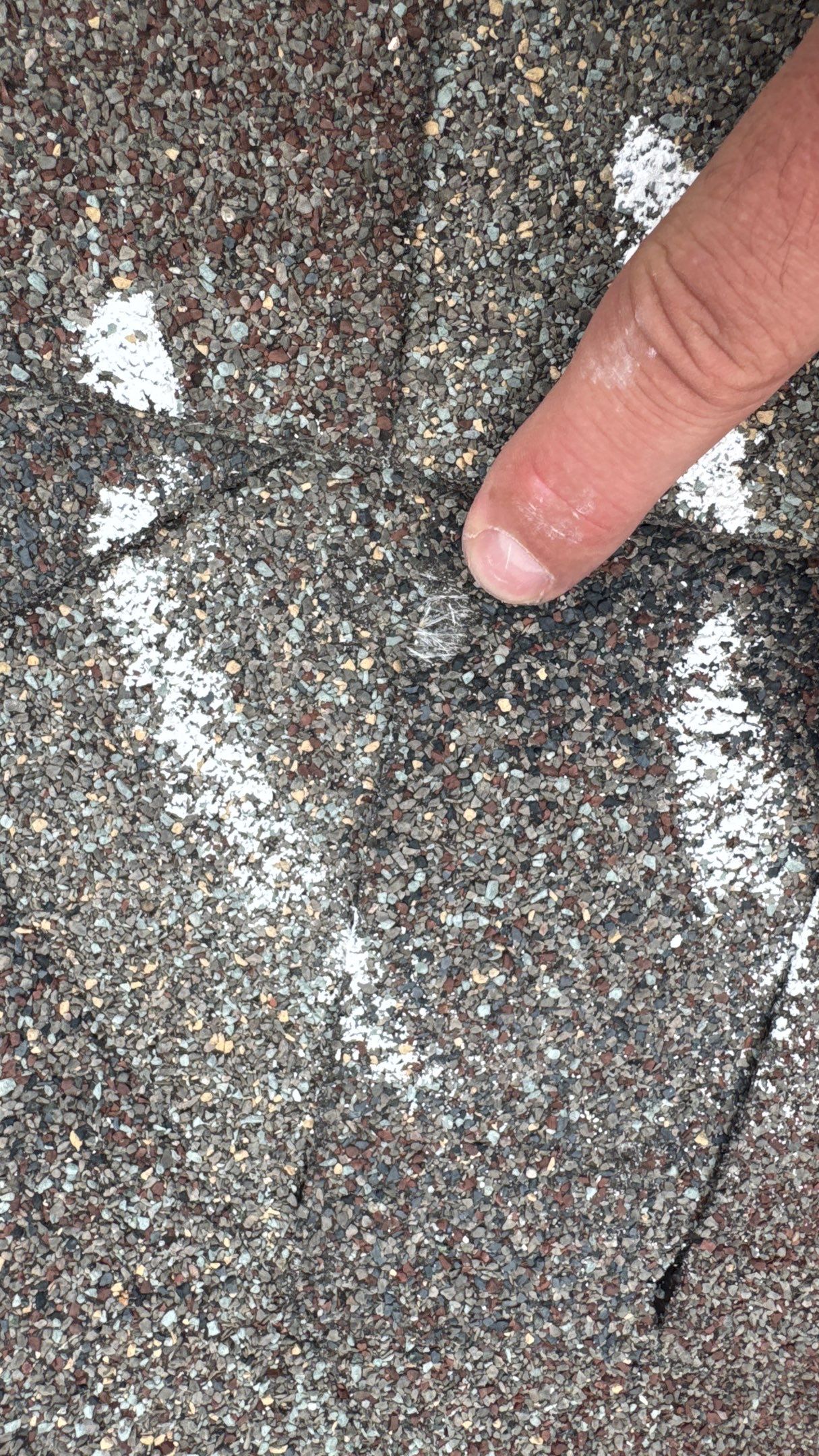 Euroshield in the Black Hills by Weather-Tite Exteriors LLC