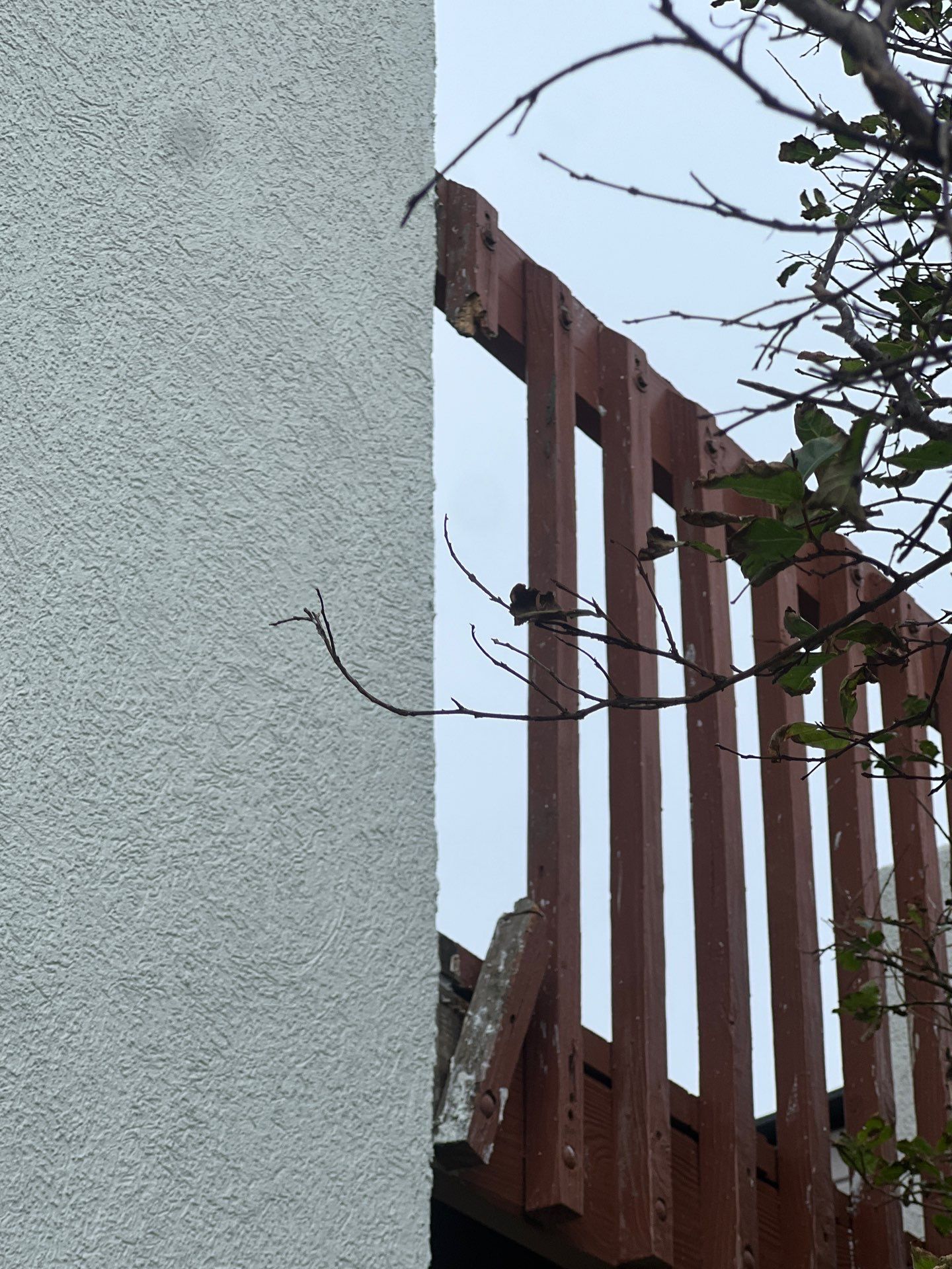 Waterfront Stucco Remastered by Bayfront Roofing and Construction