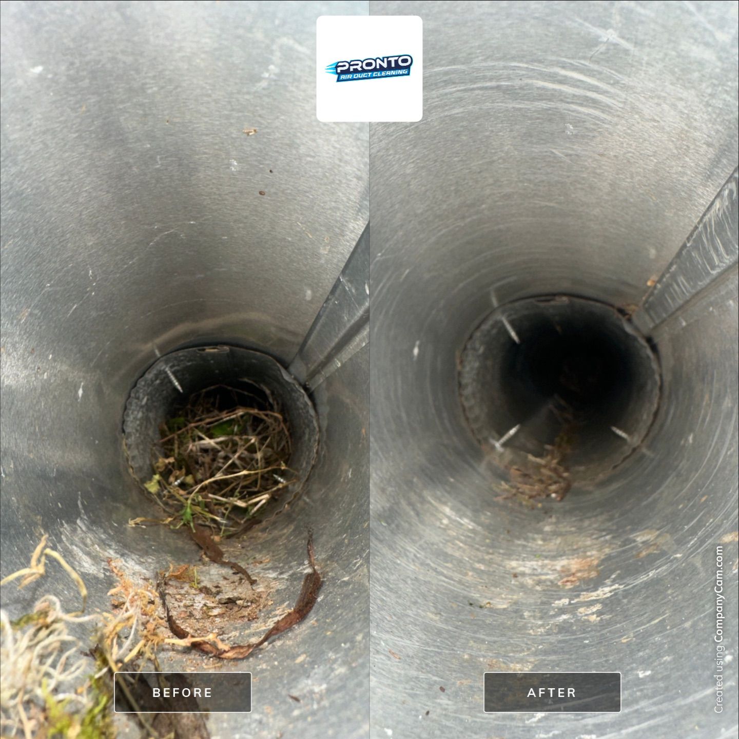 Air Ducts + Dryer Vent Cleaning by Pronto Air Duct Cleaning