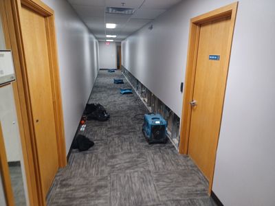 Project in Warren