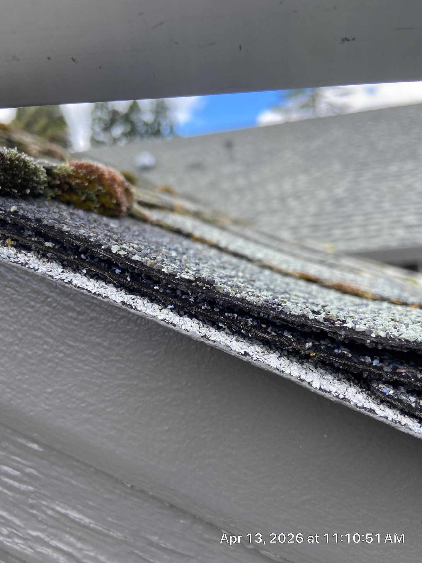 Roof Rejuvenation using Roof Maxx Treatment by Roof Maxx of Folsom