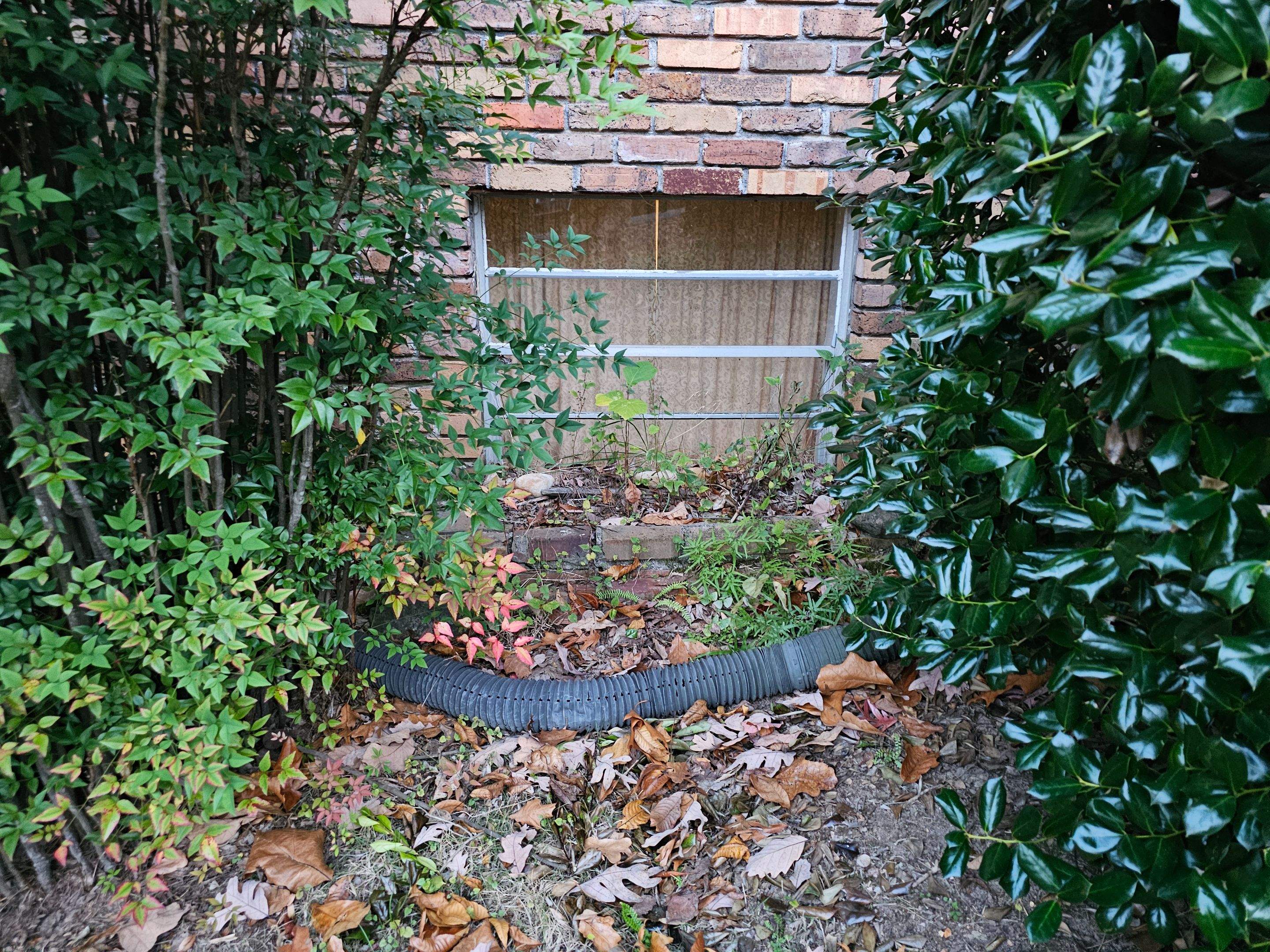 Kesler Project in Birmingham by The Window Source