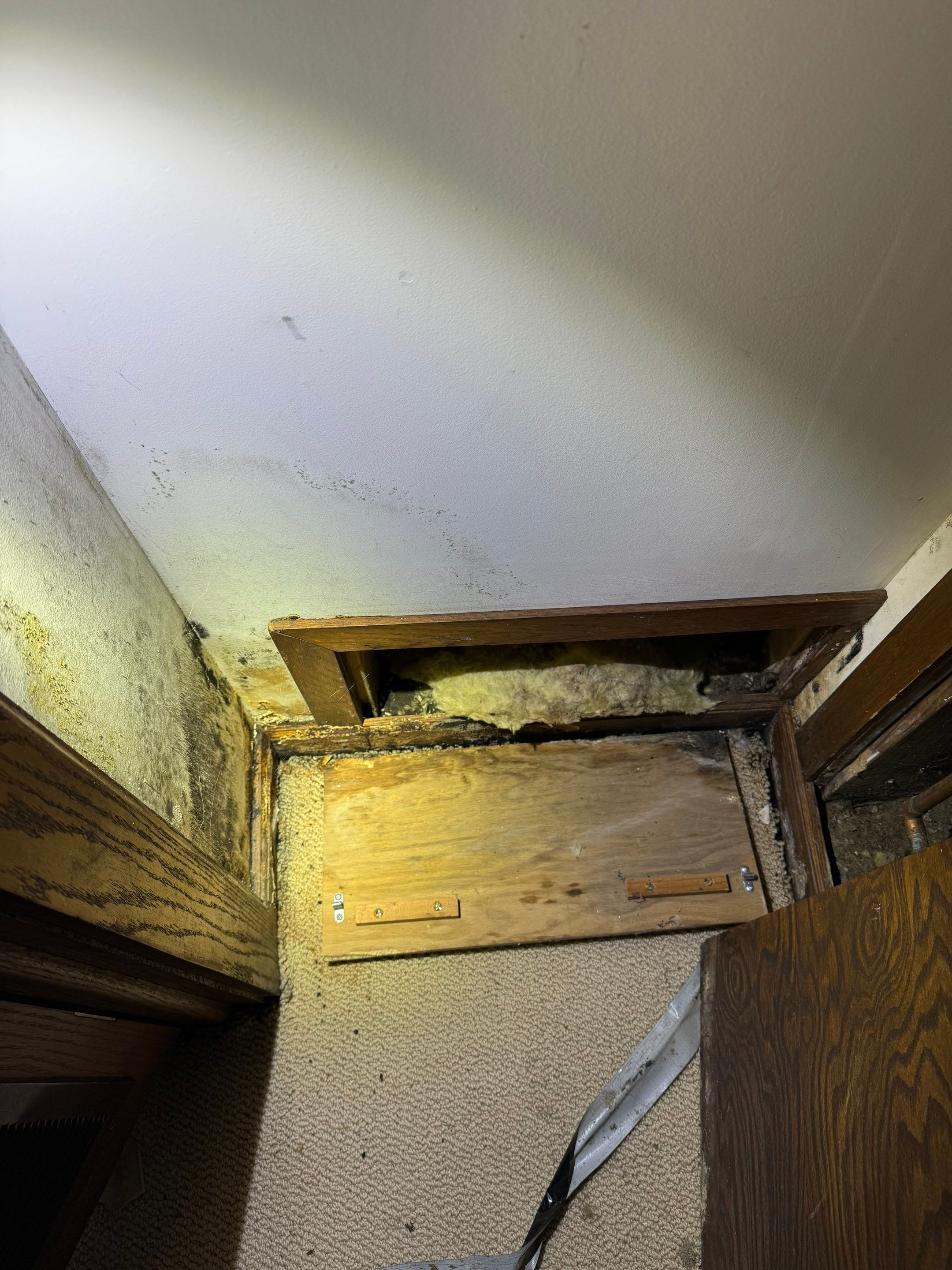 Major Basement Remediation / Restoration by Home Guarantee, LLC