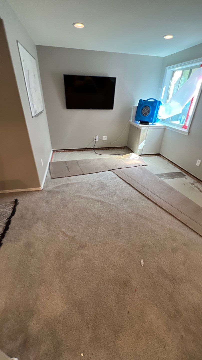 Mold Remediation  by Accountable Home Services