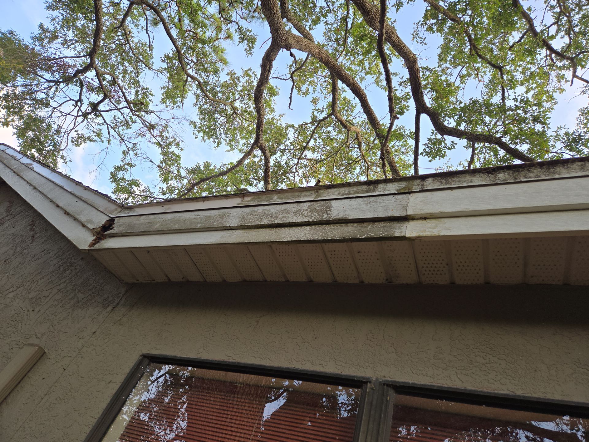 Project in Clearwater 33760 by Mitchell Roofing Company LLC 