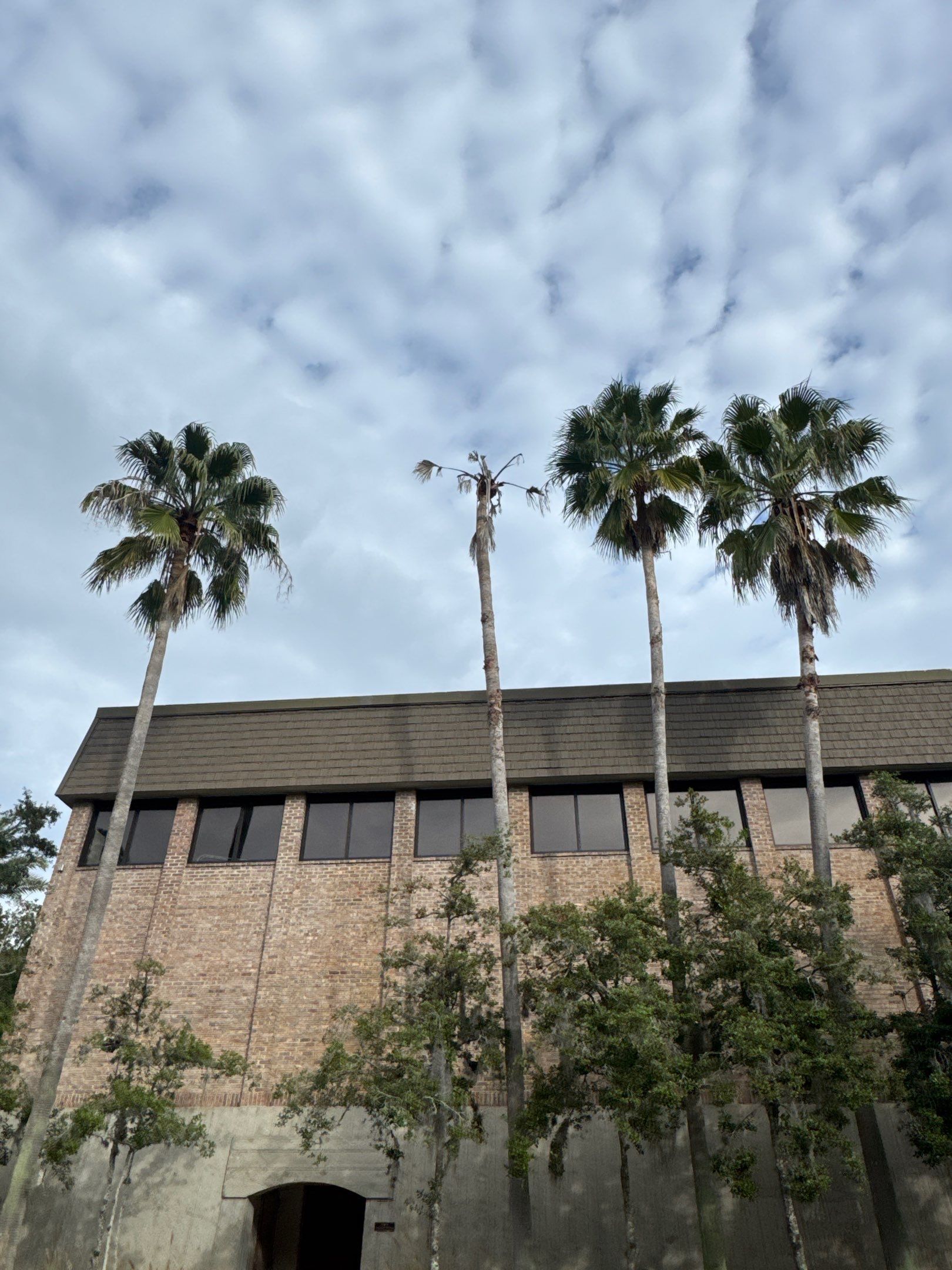 Volunteer Work | Episcopal High School of Jacksonville by ProGreen Services