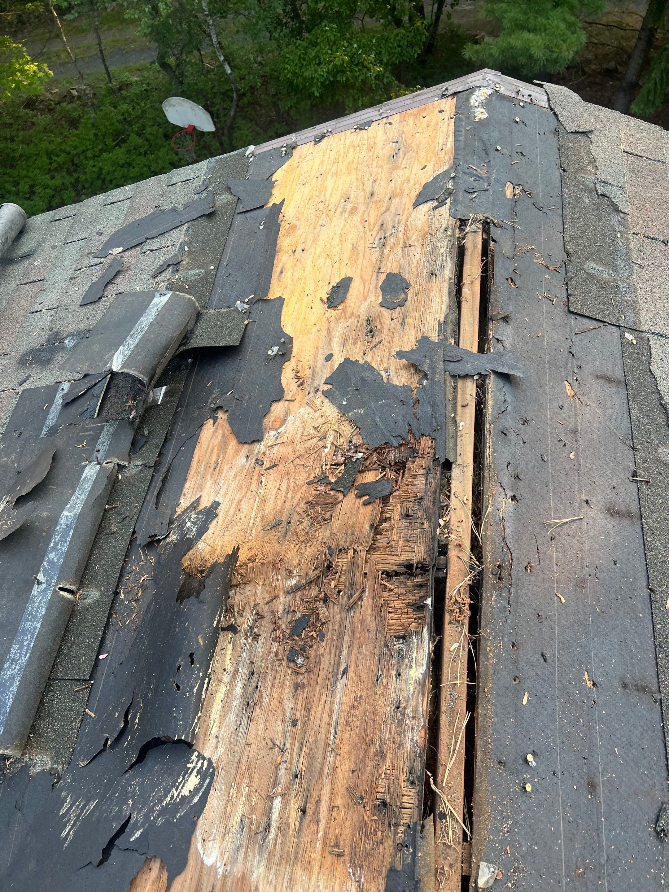 Modified Bitumen Membrane by Reimagine Roofing