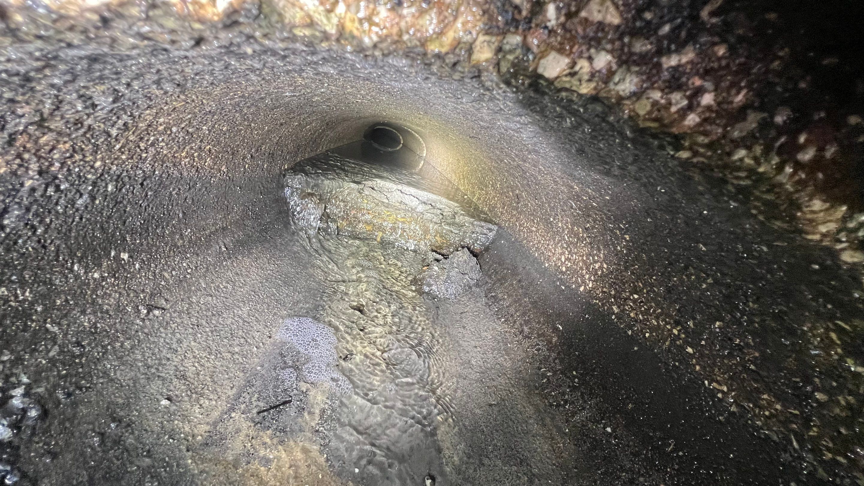 Stromwater System Maintenance at Bill Smith Appliances / Critter Cafe Marco Island Catch Basin by Don Mar, Inc. Storm Water Solutions