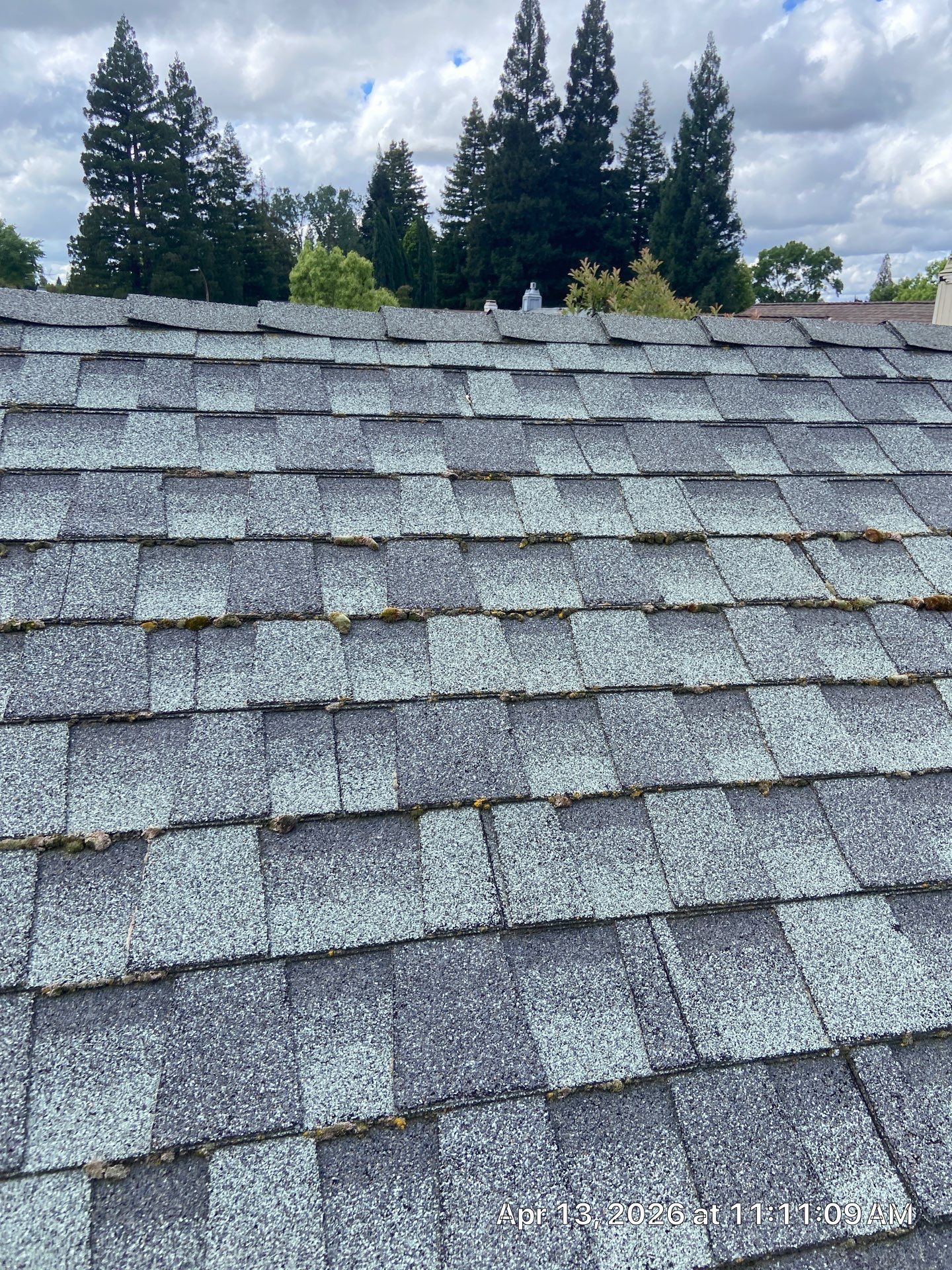 Roof Rejuvenation using Roof Maxx Treatment by Roof Maxx of Folsom