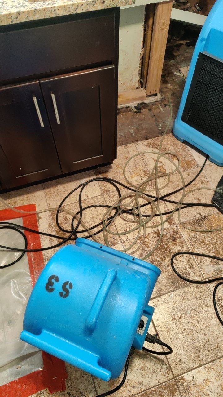 Water Damage and Mold Remediation by Accountable Home Services