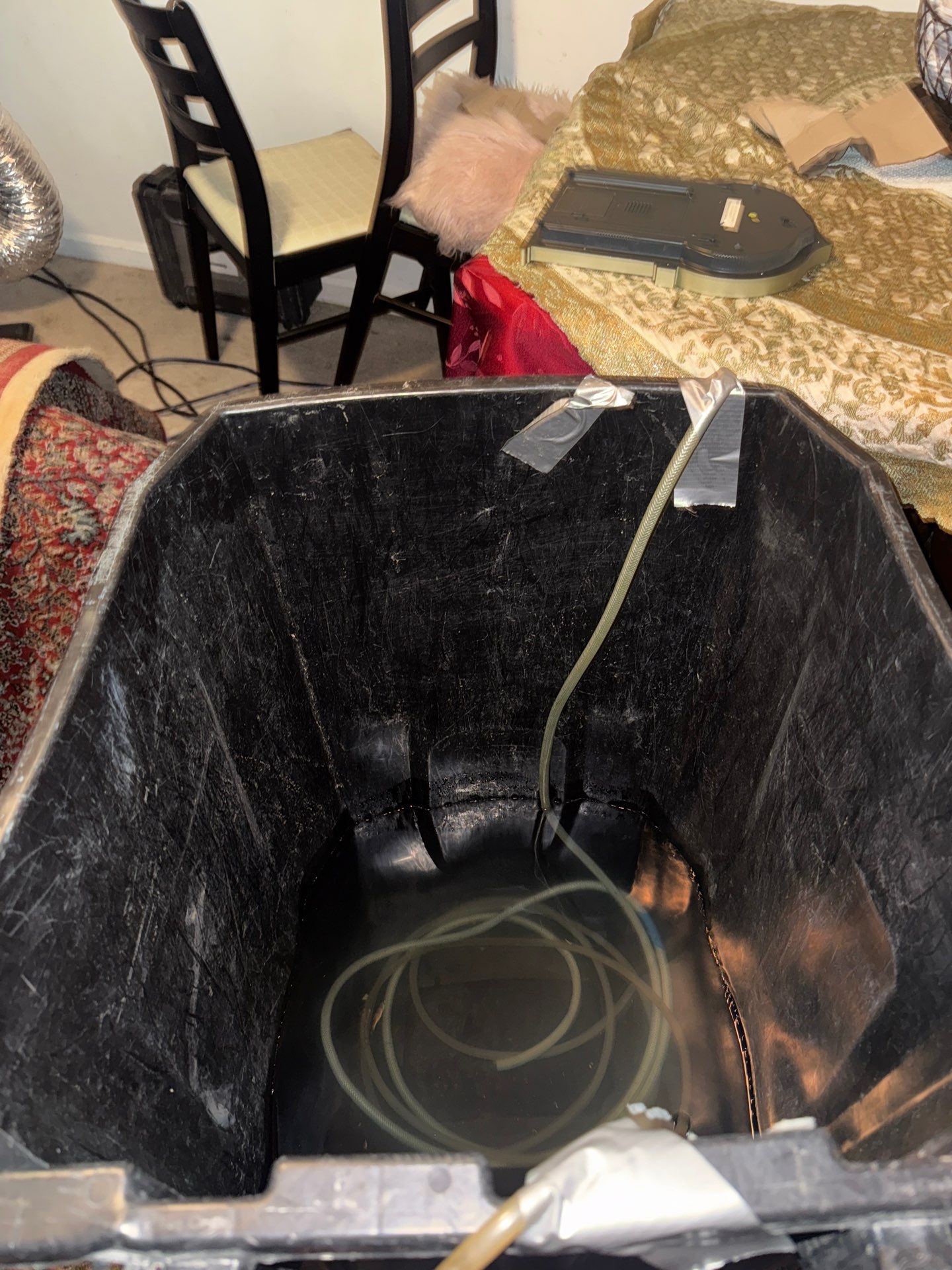 Project in Springfield by Restoration Doctor