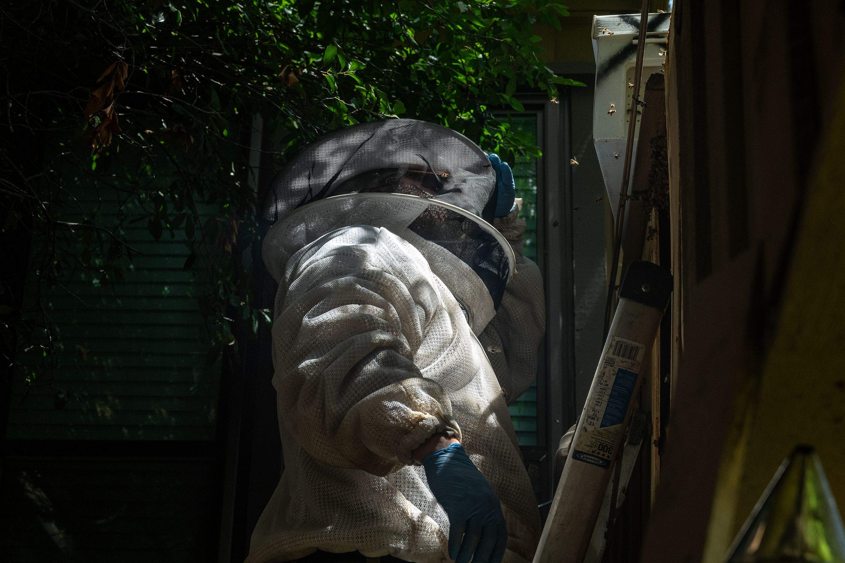Condo Patio by Rockwall Honey Bee Company