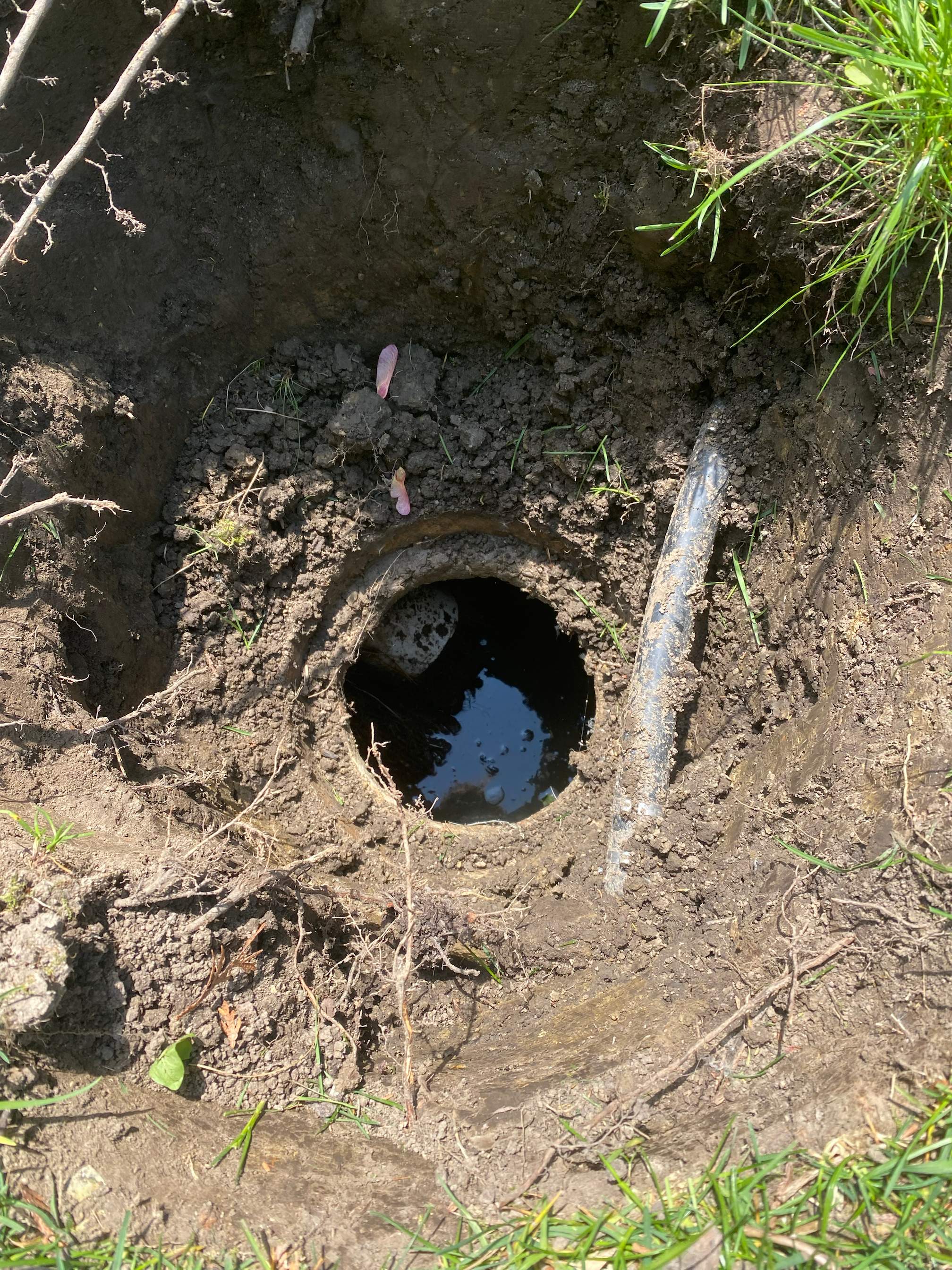 Versatile Water Movement System by Allied Water Services