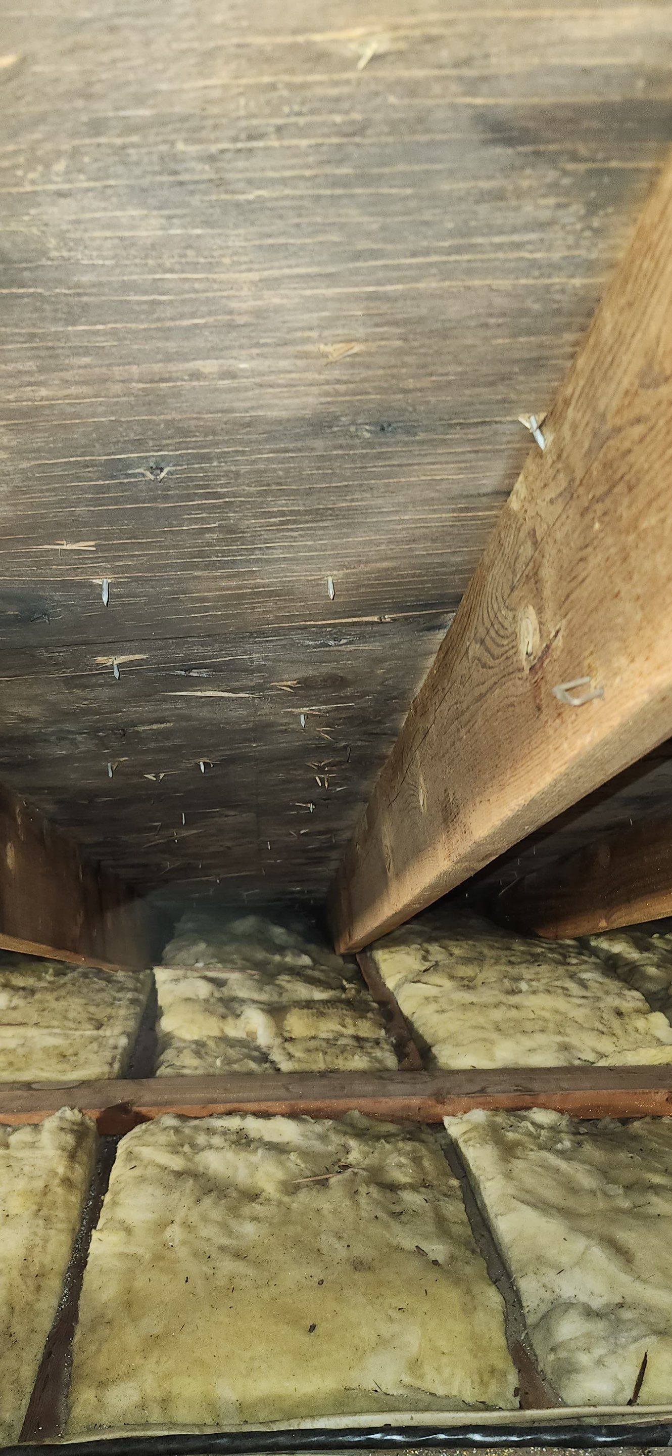 Attic Mold Remediation in Montville, NJ by Pure Service Pro, LLC