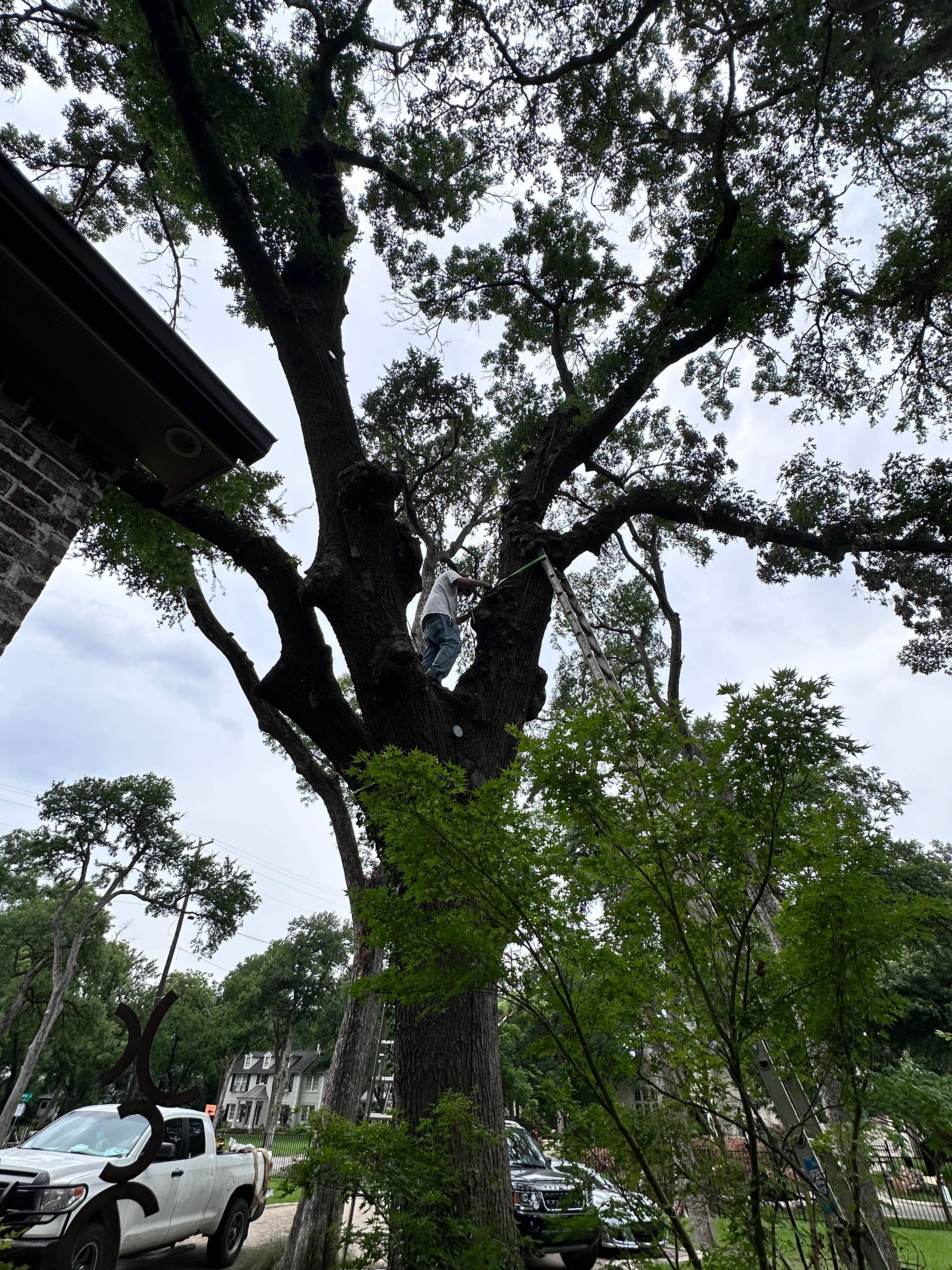 Smile! by Rockwall Honey Bee Company