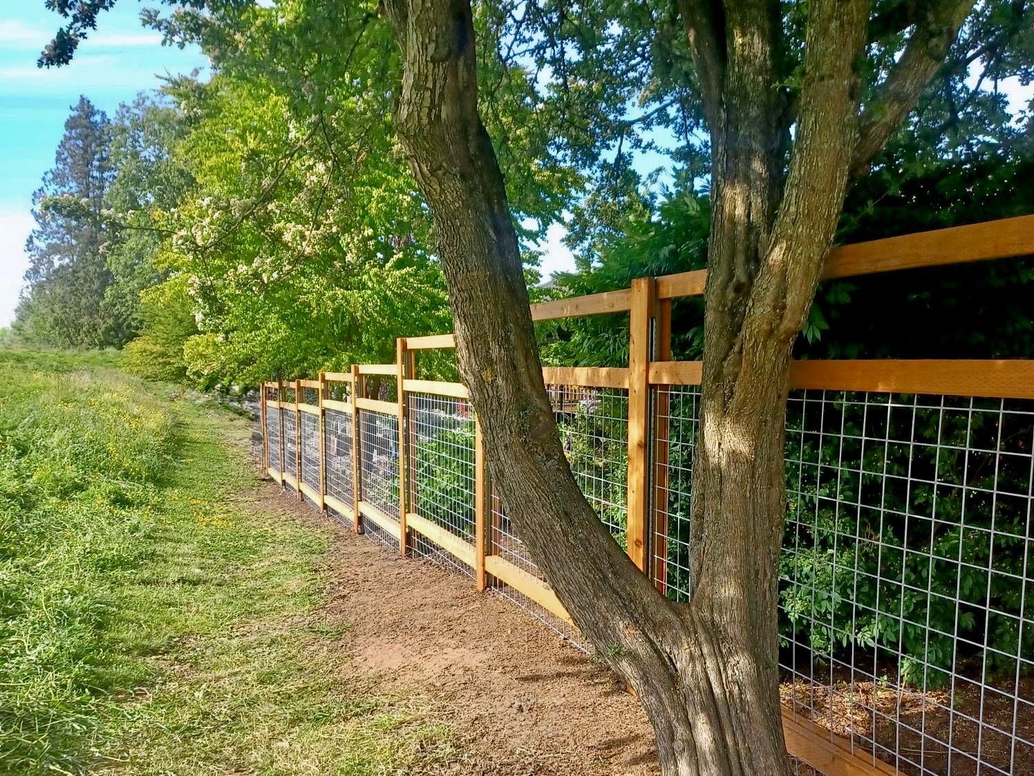 Gardenia Showcase by Fence Brothers LLC
