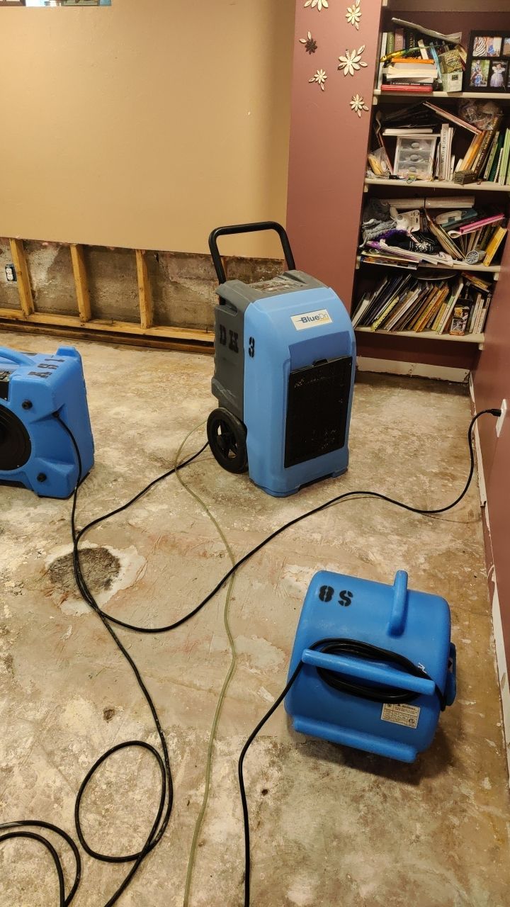 Water Damage and Mold Remediation by Accountable Home Services