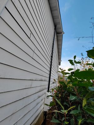 Project in Salem